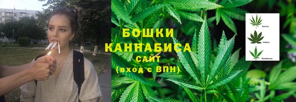 сатива Ладушкин