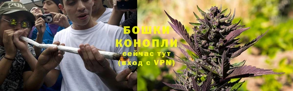сатива Ладушкин