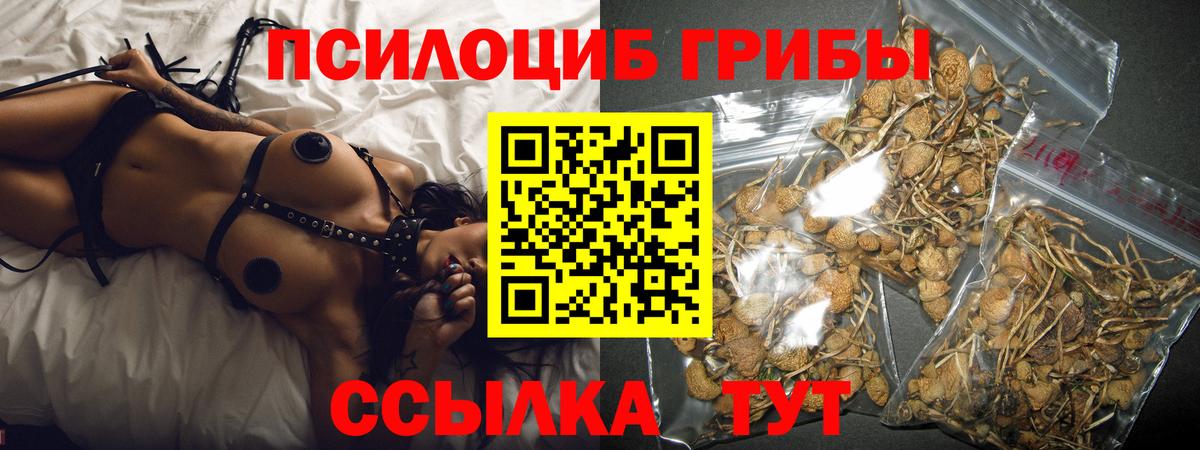 Галлюциногенные грибы мицелий Сибай