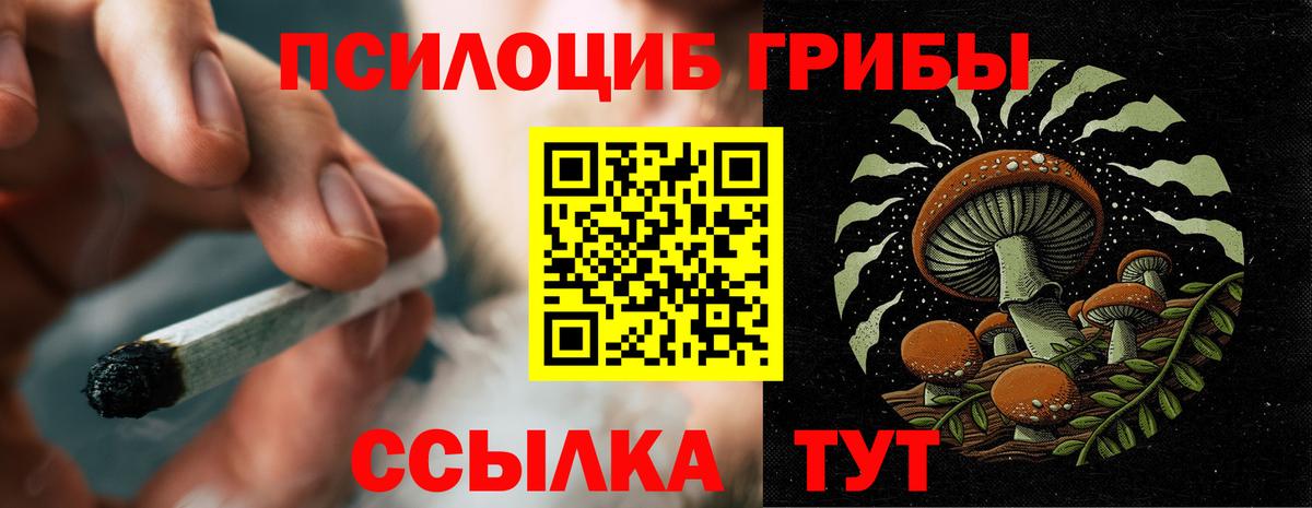 Галлюциногенные грибы мухоморы  Вход с VPN  Сибай  где можно купить наркотик  Галлюциногенные грибы Cubensis 