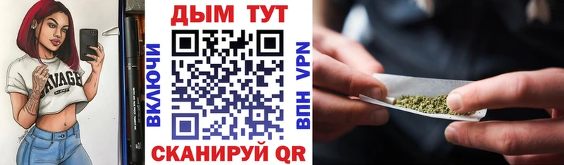 купить наркотики сайты  ссылка на мегу как войти  Бошки Шишки план  Сибай 
